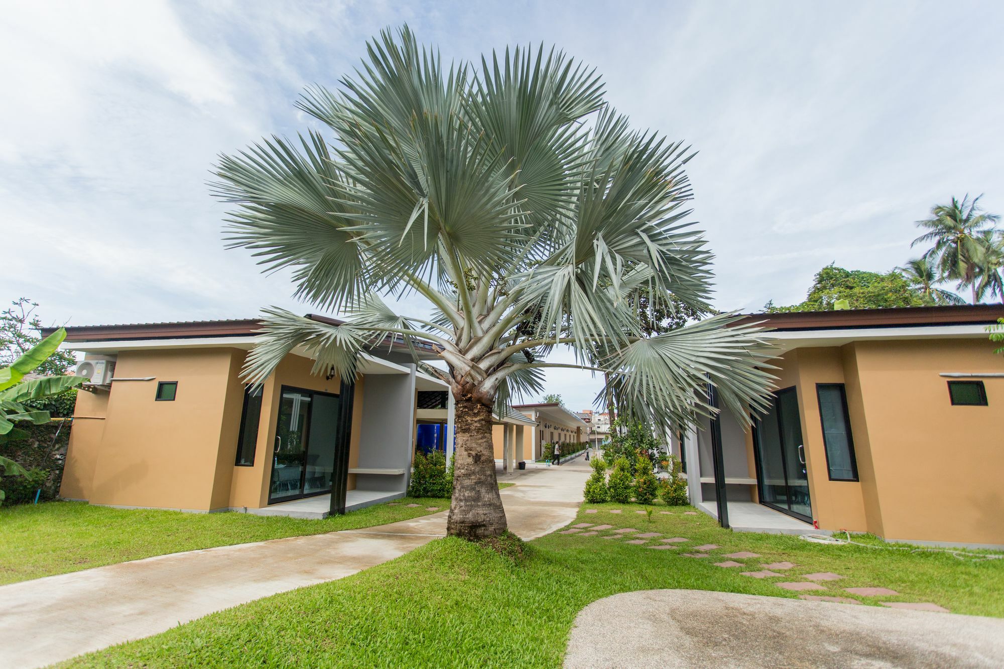 Haad Chaweng Resort And Hostel Bophut Eksteriør billede